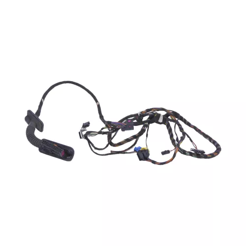 VW Polo 6R Kabelbaum Tür Türkabelbaum ZV vorne links Leitungssatz 6R1971120CE