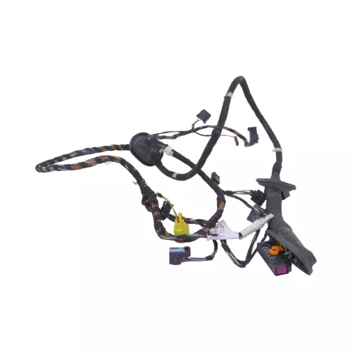 VW Polo 6R Kabelbaum Tür Türkabelbaum ZV vorne links Leitungssatz 6R1971120CE (181251)