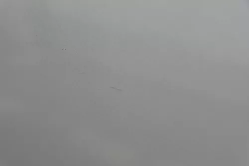 Audi A4 B6 8E nur Türblatt vorne rechts Beifahrertür blau LY7R Kombi+Limo Tür (181471)