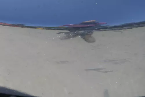 Audi A4 8E B6 Kombi Avant Stoßstange vorne mit Spoiler schwarz LY9B (181510)