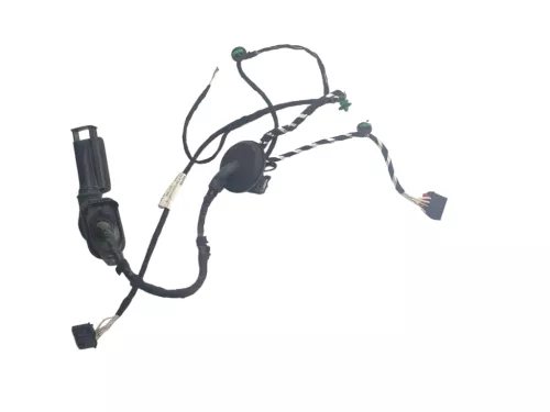 Passat 3C B8 3G Kabelbaum Tür Türkabelbaum hinte links Leitungssatz 3G0971693H/F