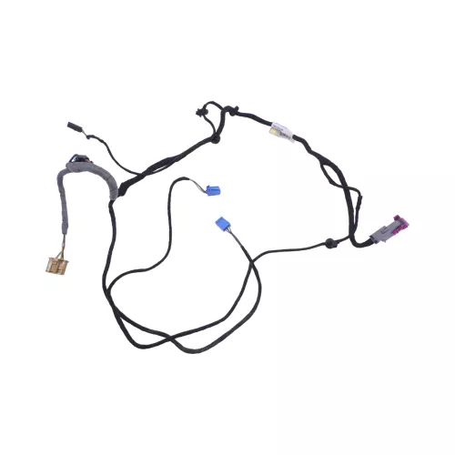 Passat 3C Kabelbaum an Türverkleidung Tür Türkabelbaum vorne links Leitungssatz