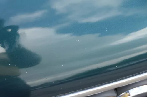 Audi A4 B5 Motorhaube Haube Klappe vorne grün LZ6U bis ca. Bj. 1999 + Grill (182192)