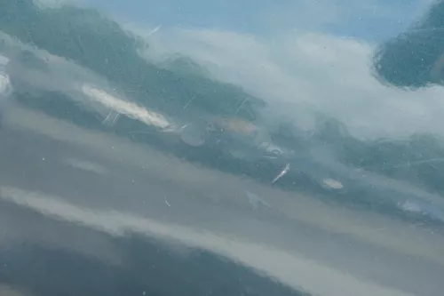 Audi A4 B5 Heckklappe hinten Klappe Kofferraumklappe Limousine grün LZ6U bis1999 (182199)