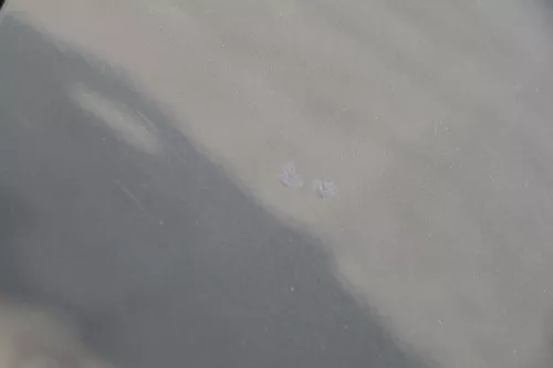 Skoda Fabia 5J Kombi Tür hinten links - grau LF8J - ohne Anbauteile (182247)