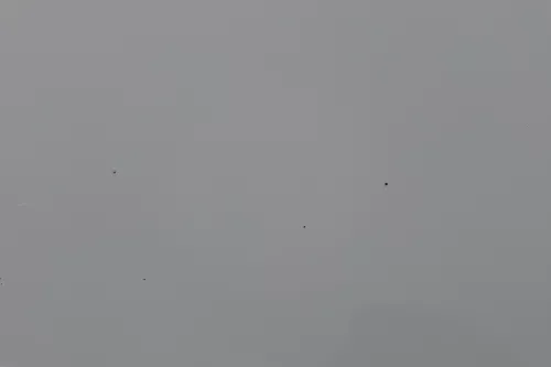 Seat Ibiza 6J Motorhaube Haube Klappe vorne weiß LB9A (182425)