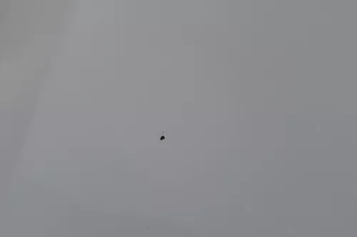 Seat Ibiza 6J Motorhaube Haube Klappe vorne weiß LB9A (182425)