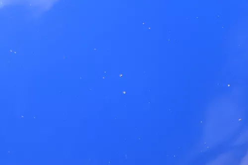 Skoda Fabia 5J Roomster Motorhaube Haube Klappe vorne blau LF5K (182549)