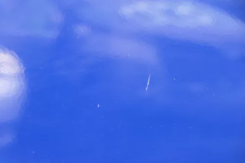 Fabia 5J Kombi + Limo Tür vorne links Fahrertür - blau LF5K -ohne Anbauteile (182552)