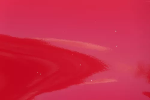 VW Polo 6N2 Kotflügel vorne links rot LP3G (bis auf den Schweller) (182786)