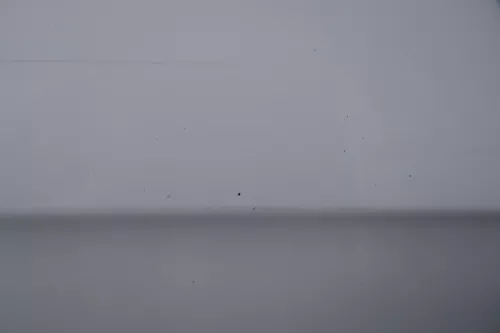 VW Passat 3C Kombi Variant Tür hinten rechts weiß LB9A- ohneAnbauteile (183119)