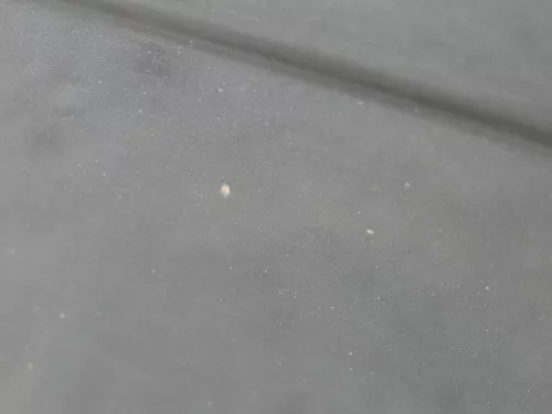 Fabia 5J Limousine Tür vorne rechts Beifahrertür schwarz LF9R - ohne Anbauteile (183591)