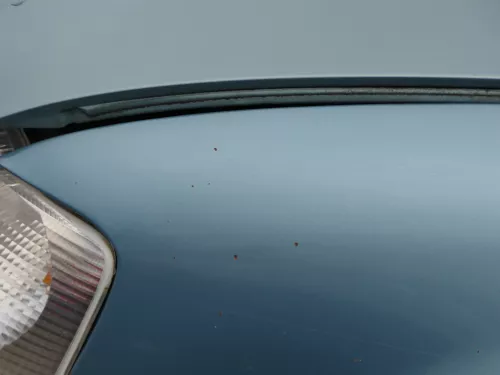 VW Passat 3B Kotflügel vorne links blau grün türkis ( evtl. LB7T oder LB6N ???) (183617)