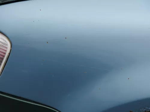 VW Passat 3B Kotflügel vorne links blau grün türkis ( evtl. LB7T oder LB6N ???) (183617)