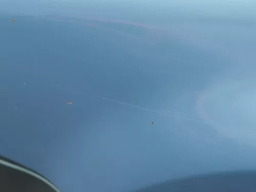 VW Passat 3B Kotflügel vorne links blau grün türkis ( evtl. LB7T oder LB6N ???) (183617)