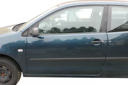VW Polo 9N 9N3 Tür vorne links Fahrertür 2/3-Türer grün LC6X -ohne Anbauteile