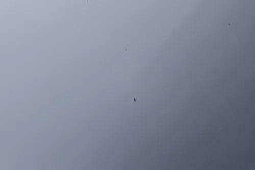 Skoda Fabia 6Y Motorhaube Klappe vorne silber LF7T vorn     (OHNEgrill!) (183657)