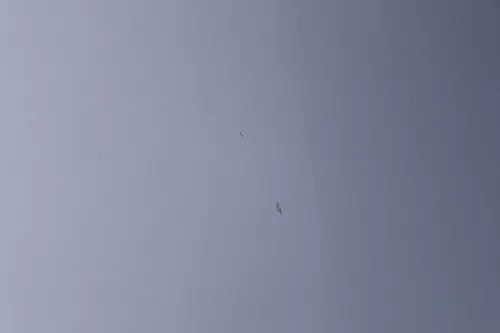 Skoda Fabia 6Y Motorhaube Klappe vorne silber LF7T vorn     (OHNEgrill!) (183657)