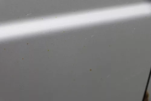 Skoda Fabia 6Y Kombi Limousine Tür vorne rechts Beifahrertür grau silber LF7T (183659)