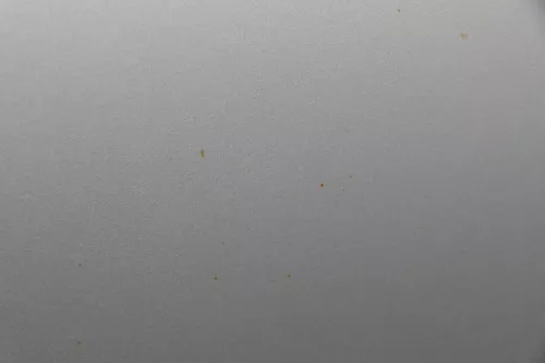 Skoda Fabia 6Y Kombi Limousine Tür vorne rechts Beifahrertür grau silber LF7T (183659)