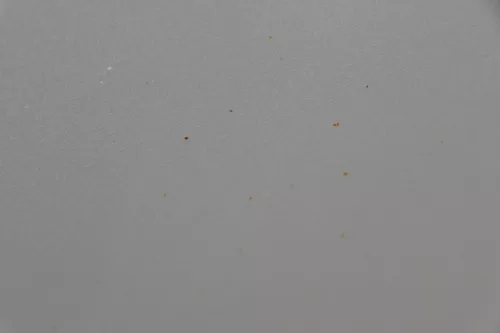 Skoda Fabia 6Y Limousine Schrägheck Tür hinten rechts grau silber LF7T diamantsi (183660)