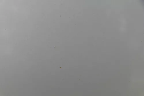 Skoda Fabia 6Y Limousine Schrägheck Tür hinten links grau silber LF7T