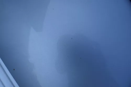 VW Bora Motorhaube Haube Klappe vorne blau LB5S (183686)