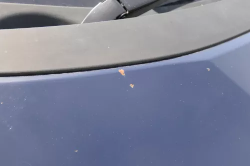 VW Sharan 7M Motorhaube Klappe Haube vorn vorne blau LA5G ab ca.Bj2000passend (183714)