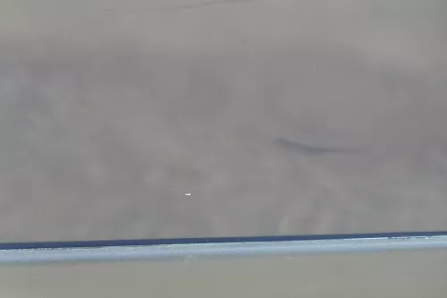 Sharan 7M Seat Alhambra Tür links hinten blau LA5G ab Bj.2000 Facelift ohne Anba (183720)