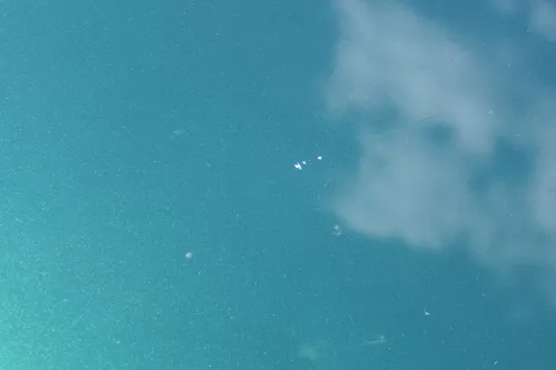 Audi A4 B5 Motorhaube Haube Klappe vorne grün LZ6L bis ca. Bj. 1999 + Grill (183759)