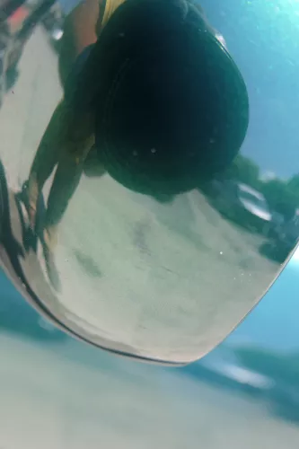 Audi A4 B5 Spiegel Außenspiegel links elektrisch grün LZ6J (183763)