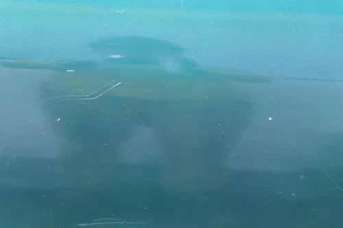 Audi A4 B5 Tür Türblatt hinten rechts grün LZ6J Kombi Limo (183769)