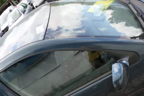 VW Golf 4 Bora Tür vorne rechts Beifahrertür 4/5-Türer+Kombi Variant grün LC6X (183873)