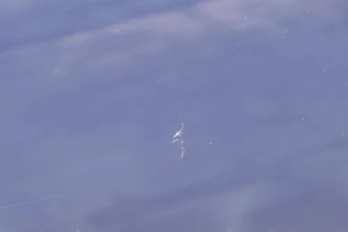 VW Golf 4 Bora Tür vorne rechts Beifahrertür 4/5-Türer+Kombi Variant blau LA5G (183894)