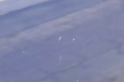 VW Golf 4 Bora Tür vorne rechts Beifahrertür 4/5-Türer+Kombi Variant blau LA5G (183894)