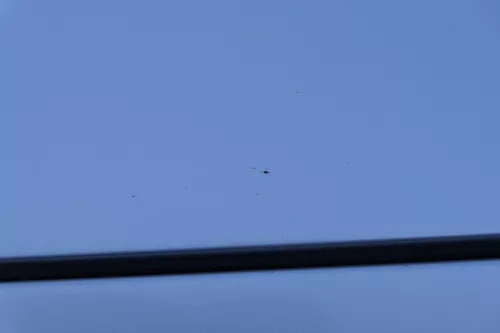 Audi A4 B6 8E Motorhaube Haube Klappe silber LY7W (184048)