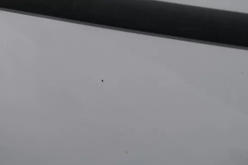 VW Golf 4 Bora Tür vorne links Fahrertür 4/5-Türer Kombi Variant weiß LB9A (184150)