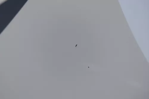 VW Golf 4 Bora Tür vorne links Fahrertür 4/5-Türer Kombi Variant weiß LB9A (184150)