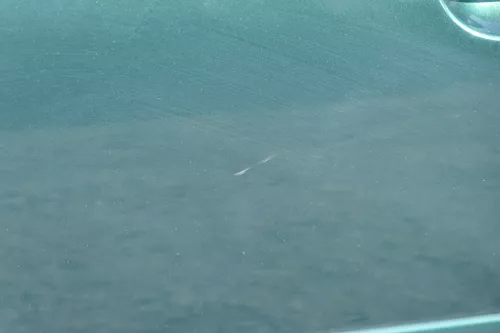 VW Golf 4 Bora Tür vorne links Fahrertür 4/5-Türer Kombi Variant grün LC6M (184180)