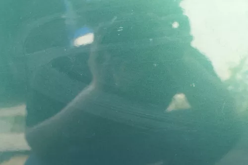 VW Golf 4 Bora Tür vorne rechts Beifahrertür 4/5-Türer+Kombi Variant grün LC6M (184181)