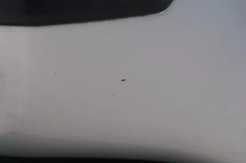 Skoda Fabia 6Y Stoßstange Stoßfänger vorne silber grau LF7T 2000-2004 (184279)