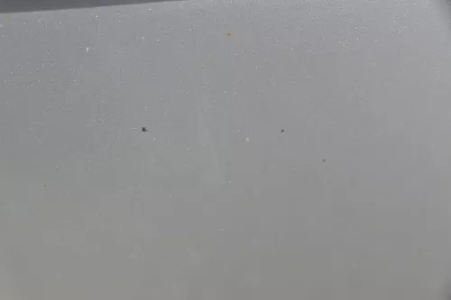 Skoda Fabia 6Y Kombi Stufenhec Stoßstange hinten Heckstoßstange grau silber LF7T (184286)