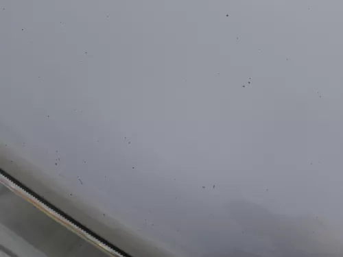 Skoda Octavia 1U Motorhaube Haube Klappe vorne silber grau LF7T mit Grill (184300)