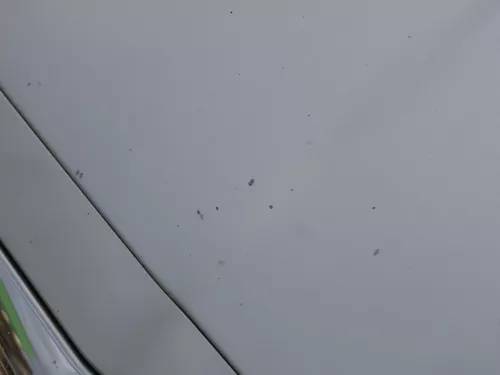 Skoda Octavia 1U Motorhaube Haube Klappe vorne silber grau LF7T mit Grill (184300)