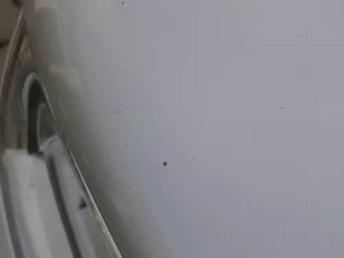 Skoda Octavia 1U Motorhaube Haube Klappe vorne silber grau LF7T mit Grill (184300)