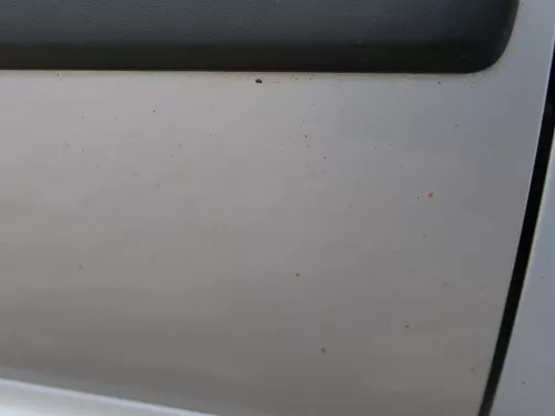 Skoda Octavia 1U Kombi  +Limo Tür vorne rechts Beifahrertür grau silber LF7T (184303)