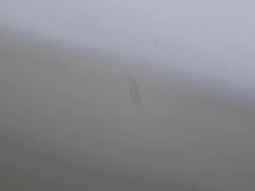 Skoda Octavia 1U5 Combi Kombi Variant Tür hinten rechts silber grau LF7T (184304)