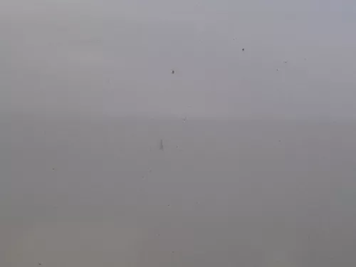 Skoda Octavia 1U5 Combi Kombi Variant Tür hinten rechts silber grau LF7T (184304)