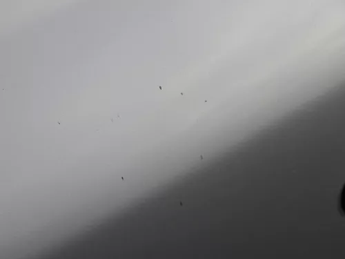 Octavia 1U5 Combi Kombi Variant Tür hinten links grau silber LF7T (184307)