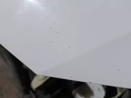 VW Polo 6R 6C Motorhaube Klappe vorn vorne weiß LB9A  - DELLE Knick Bilder! (184493)